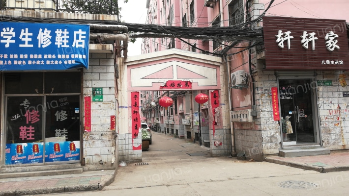 黄楝树南外景图