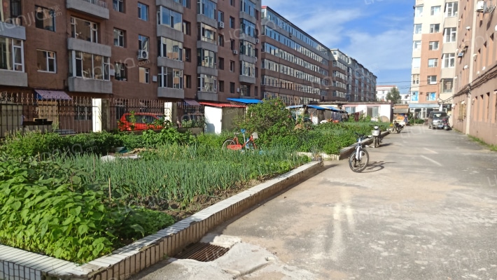 交通小区外景图