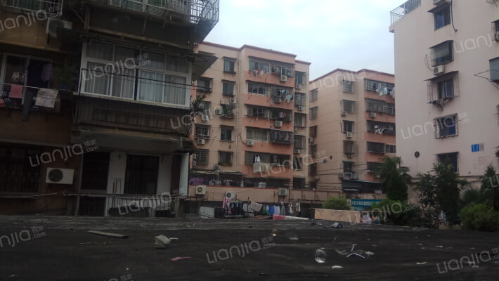 集贤花苑外景图