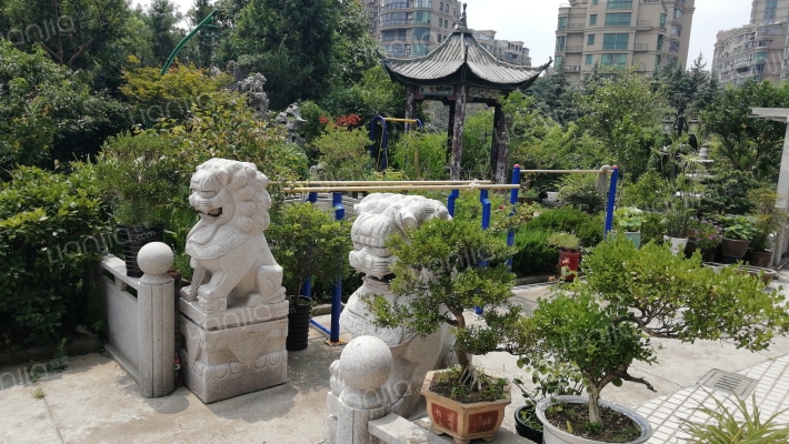 上海新城西区外景图