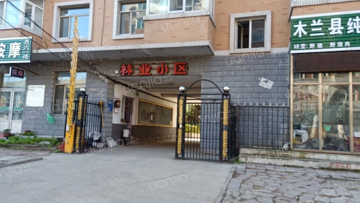 林业小区(木兰县)外景图