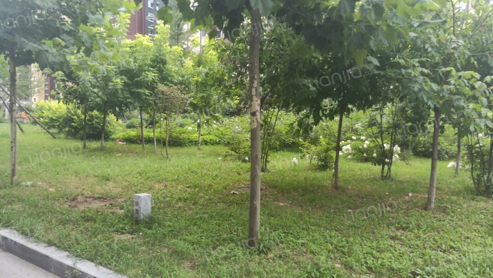 东城天下外景图