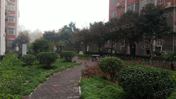 新和小区外景图