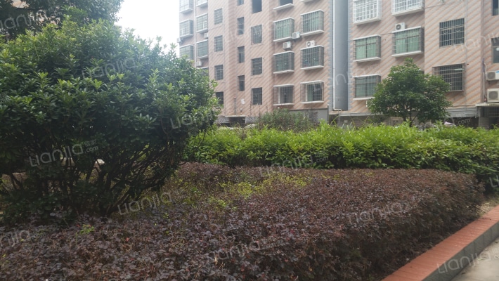 滨江汇景外景图