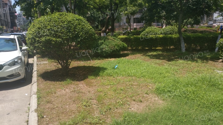 华要新村外景图