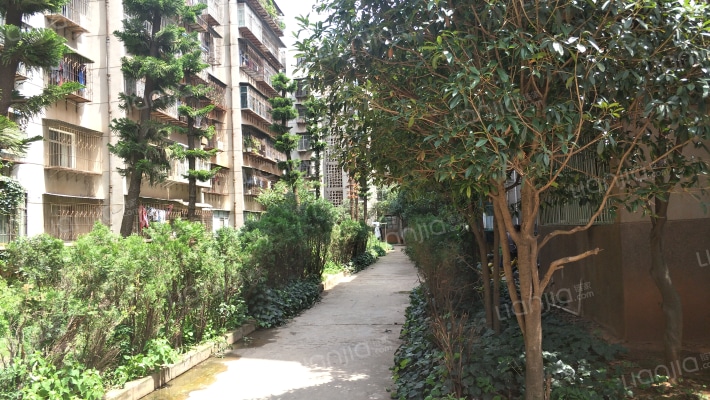 鸿运二期外景图