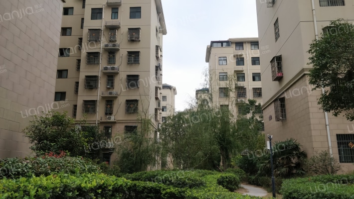 富苑观城外景图