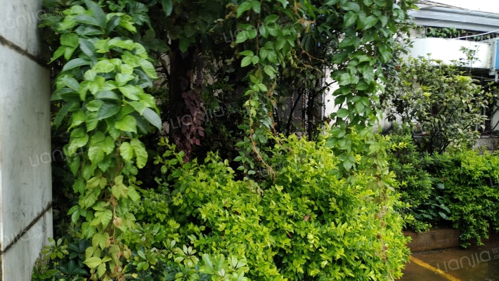 云南省煤炭供销总公司外景图