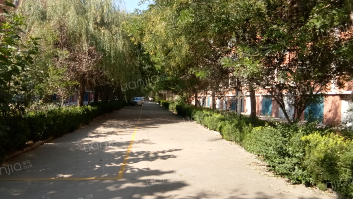 教师公寓(青州市)外景图