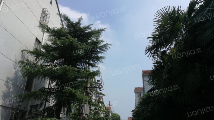 太平新村北区外景图