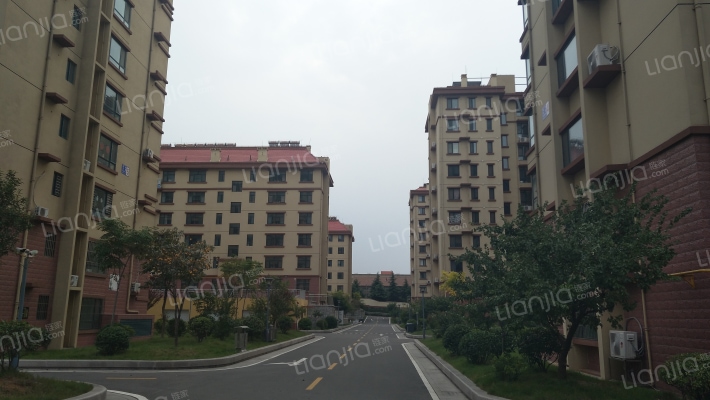 牡丹文苑外景图