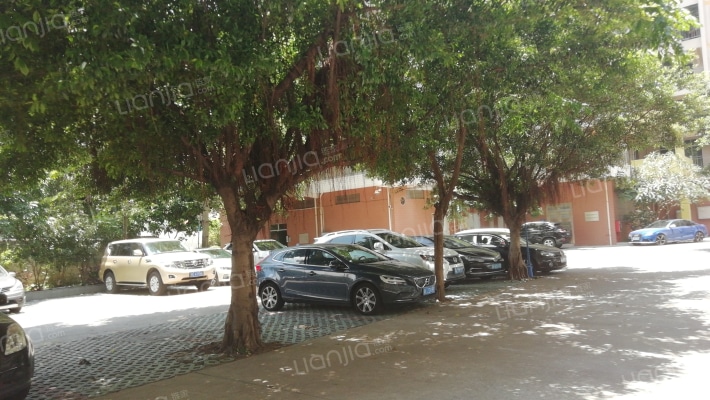 大豆花园外景图