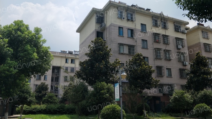 年丰新村外景图