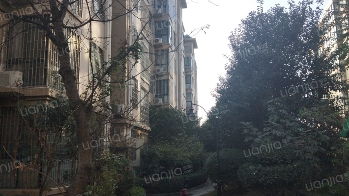 鸿祥今典外景图