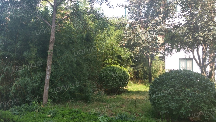 阳光嘉园(昌邑市)外景图