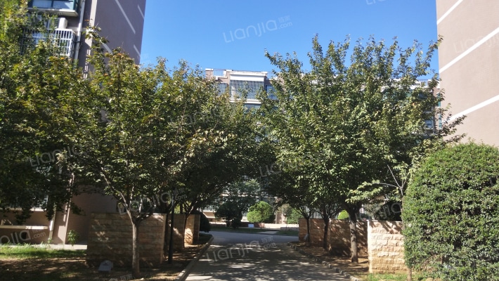 天鹅湖西区外景图