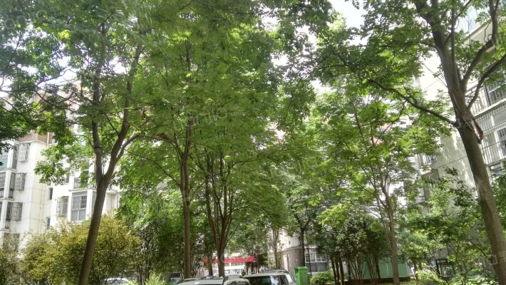 桐乐家园外景图