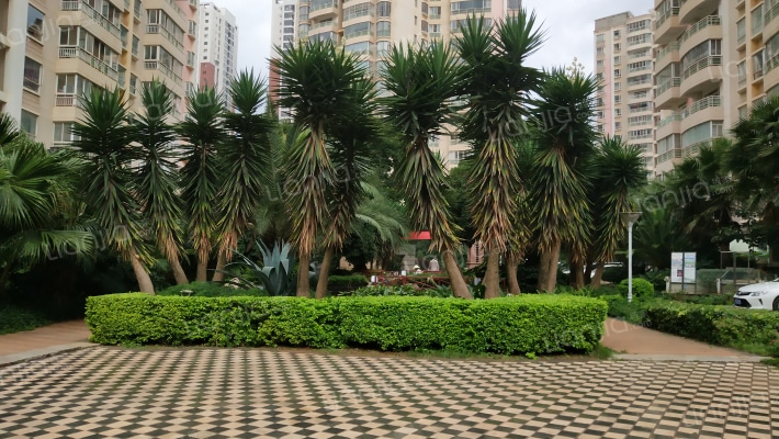 书香门第外景图