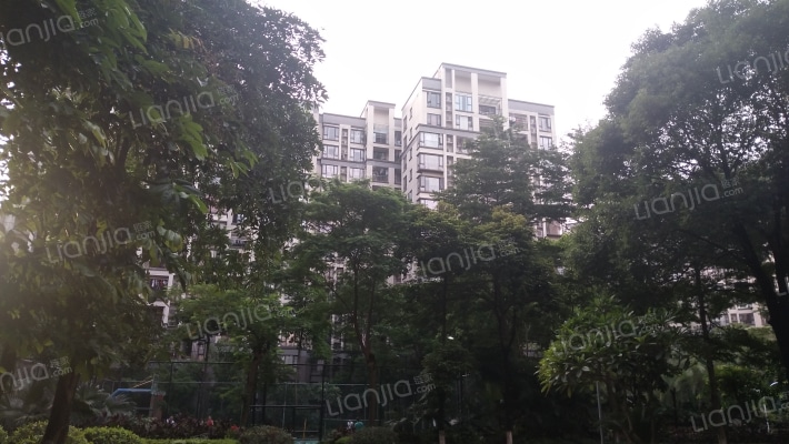 万科金域华庭外景图