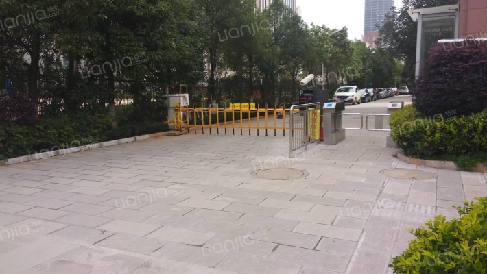 第一国际外景图