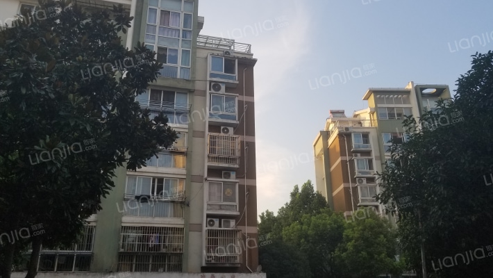 长江绿岛外景图