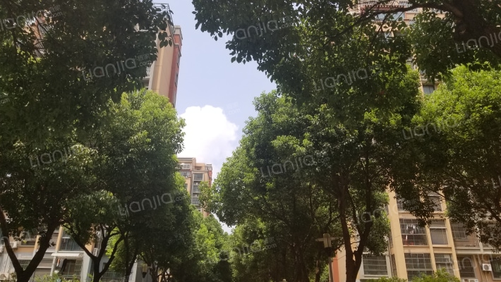 泗泾湾家园外景图