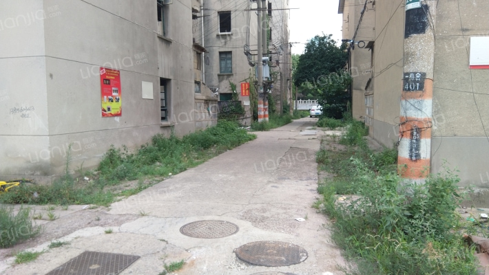 一棉家舍外景图