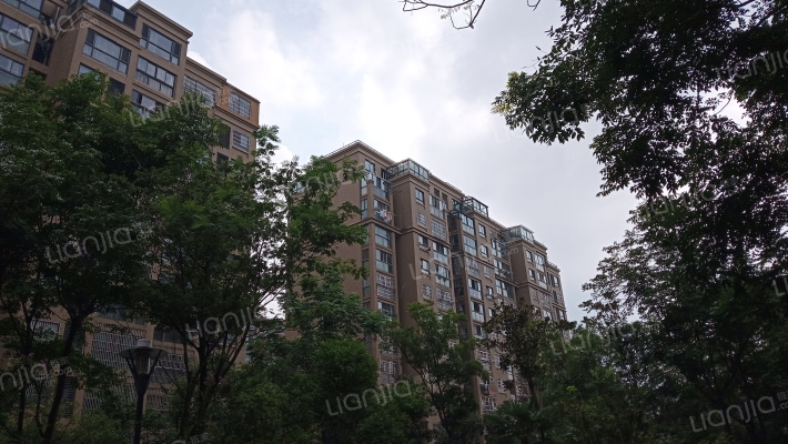 阳光巴黎外景图