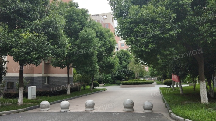 大树家园外景图