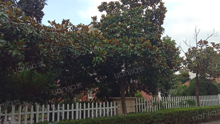 水秀艺墅外景图