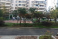 吴嘴小区35