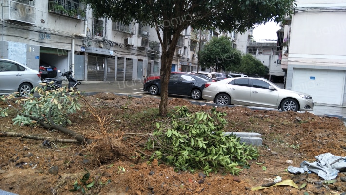 临江小区外景图