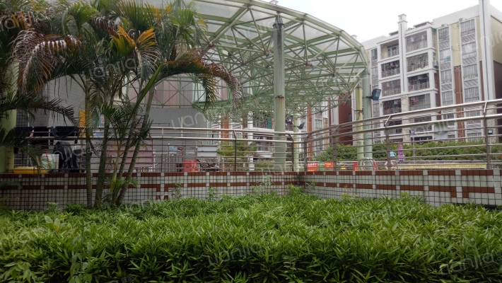 丽的花园外景图