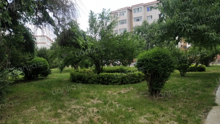 龙东小区外景图