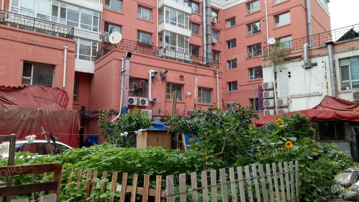 海关新苑外景图