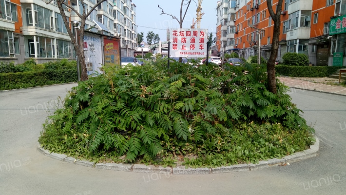 神州地勘新区外景图