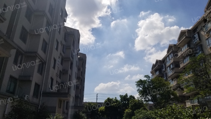 大唐花苑北区外景图