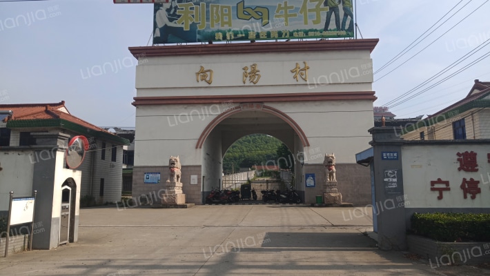 向阳村山上新村外景图