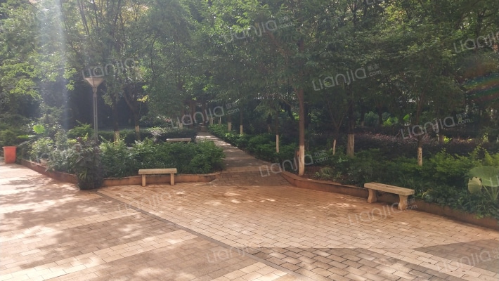 创意英国棕榈泉公园外景图