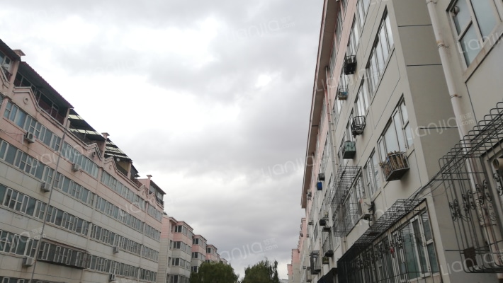 金凤小区外景图