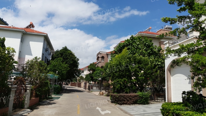 东方明珠外景图