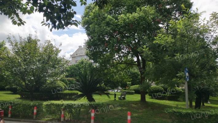 大通花园二期外景图