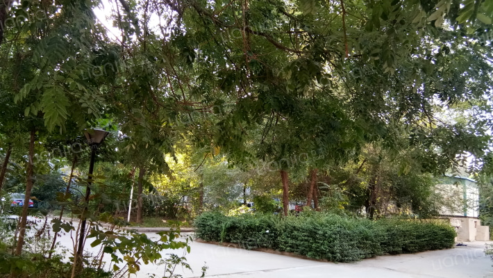 旗城家园外景图