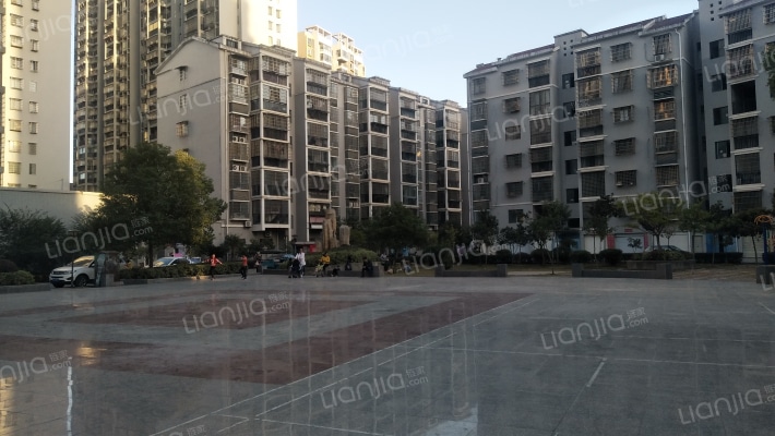 襄大新村外景图