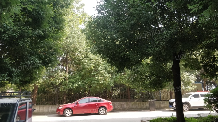 竹林小区外景图