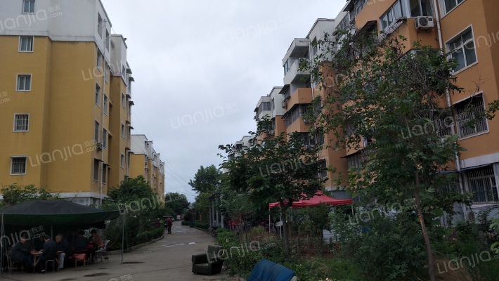 金爵绿色家园外景图