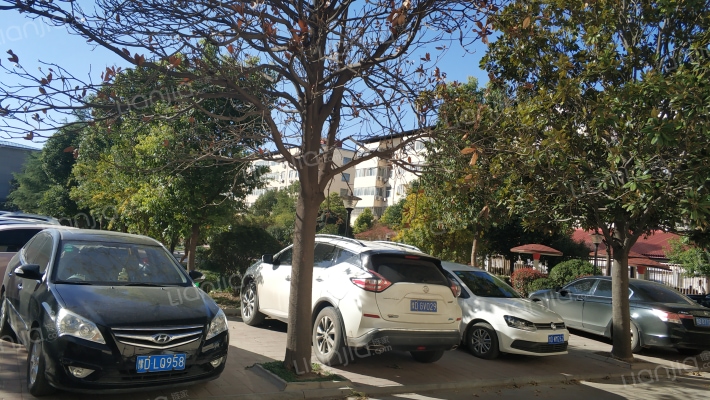 安泰小区外景图