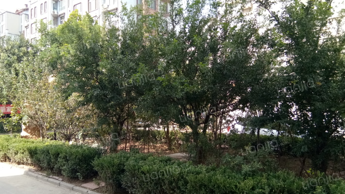 乐园小区外景图