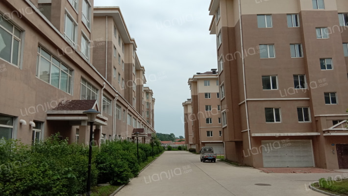 安民新春外景图