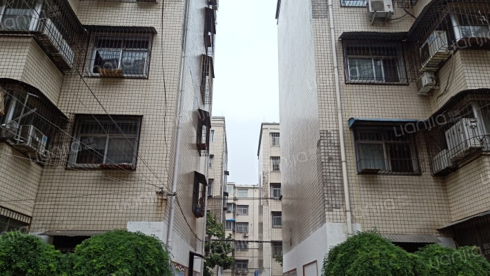 琼宇文化小区外景图